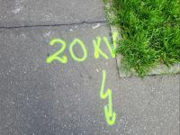 Imagine atasata: 20260408_152633.jpg